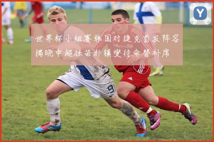 世界杯小组赛韩国对捷克首发阵容揭晓中超独苗朴镇燮待命替补席