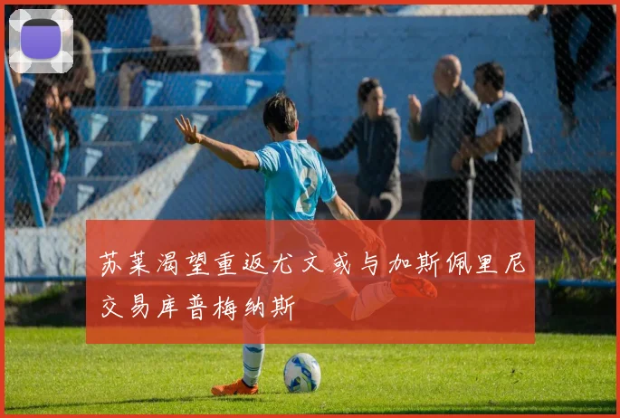 苏莱渴望重返尤文或与加斯佩里尼交易库普梅纳斯
